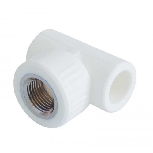 7fce82bb33bd90fc6b4a3de25c90acd8-500x500