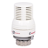 th-d-0101.250x250[1]