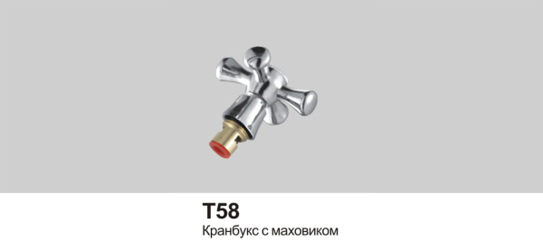 T58